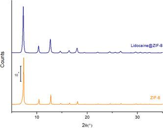 https://cdn.ncbi.nlm.nih.gov/pmc/blobs/3cd6/12388163/fc265bc614bf/CPHC-26-e202401128-g005.jpg