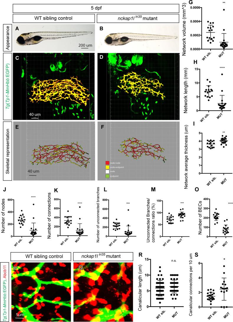 https://cdn.ncbi.nlm.nih.gov/pmc/blobs/3cd7/8032155/7ab0d09fb075/pgen.1009402.g001.jpg