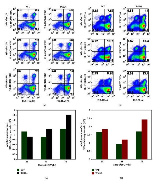 https://cdn.ncbi.nlm.nih.gov/pmc/blobs/3cd8/3657453/807a8a798604/JSC2013-452425.002.jpg