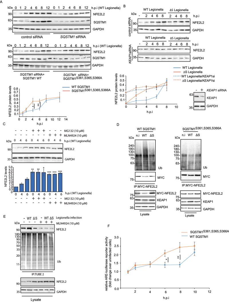https://cdn.ncbi.nlm.nih.gov/pmc/blobs/3cd9/11759625/291c584ca363/KAUP_A_2404375_F0003_C.jpg