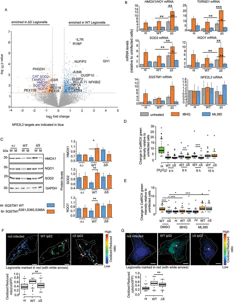https://cdn.ncbi.nlm.nih.gov/pmc/blobs/3cd9/11759625/3b1b70dcf501/KAUP_A_2404375_F0004_C.jpg