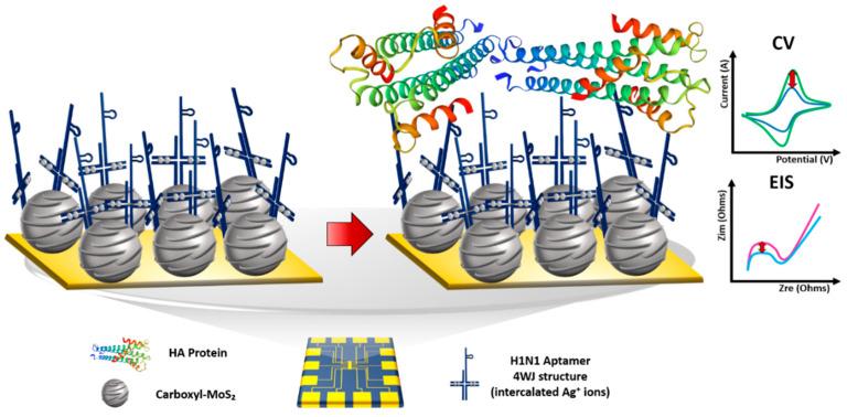 https://cdn.ncbi.nlm.nih.gov/pmc/blobs/3cd9/7827127/16672ee6389b/materials-14-00343-g001.jpg