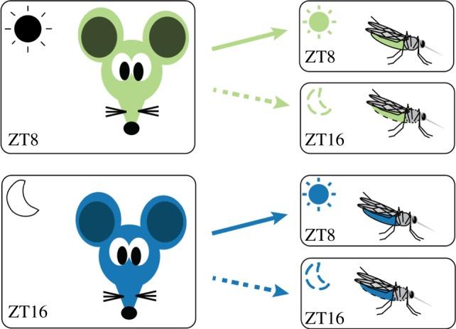 https://cdn.ncbi.nlm.nih.gov/pmc/blobs/3cdb/6191691/5994a89c0d13/rspb20181876-g1.jpg