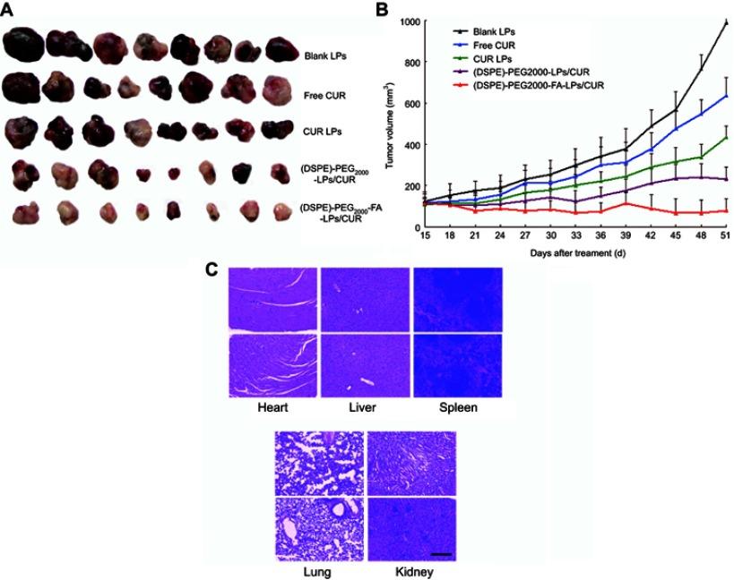 https://cdn.ncbi.nlm.nih.gov/pmc/blobs/3cdc/6614832/25c69050f9c7/DDDT-13-2205-g0006.jpg