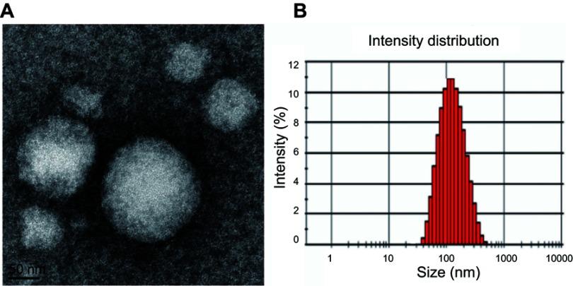 https://cdn.ncbi.nlm.nih.gov/pmc/blobs/3cdc/6614832/4ace6cfb1b57/DDDT-13-2205-g0002.jpg