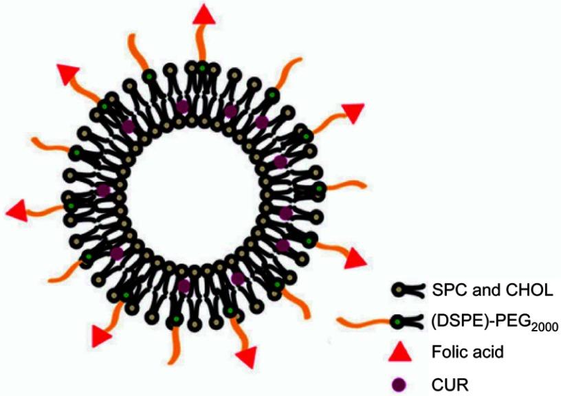 https://cdn.ncbi.nlm.nih.gov/pmc/blobs/3cdc/6614832/9e330fe0fc33/DDDT-13-2205-g0001.jpg