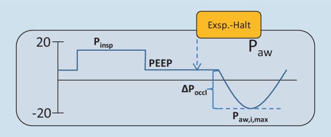 https://cdn.ncbi.nlm.nih.gov/pmc/blobs/3cdc/8103432/13e36aad7943/63_2021_823_Fig11_HTML.jpg