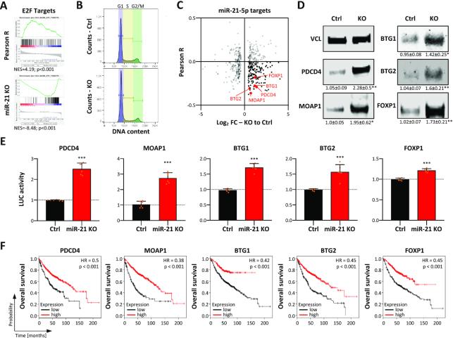 https://cdn.ncbi.nlm.nih.gov/pmc/blobs/3cdf/8210135/e3f06f5543fa/zcaa014fig3.jpg