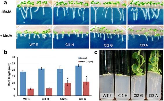 https://cdn.ncbi.nlm.nih.gov/pmc/blobs/3ce3/4364584/64cefcc762ef/12915_2015_124_Fig7_HTML.jpg