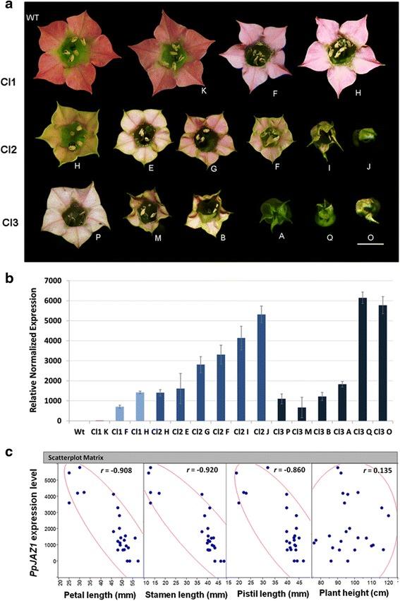 https://cdn.ncbi.nlm.nih.gov/pmc/blobs/3ce3/4364584/ef90edef503a/12915_2015_124_Fig5_HTML.jpg