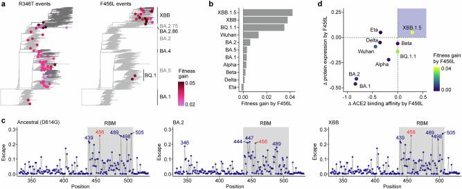 https://cdn.ncbi.nlm.nih.gov/pmc/blobs/3ce5/12075601/bf898d5ec078/41467_2025_59422_Fig5_HTML.jpg