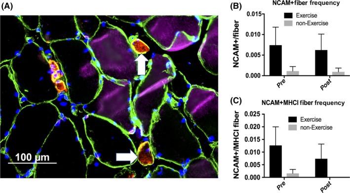 https://cdn.ncbi.nlm.nih.gov/pmc/blobs/3ce6/6518946/690eadb53af4/TSM2-2-109-g004.jpg