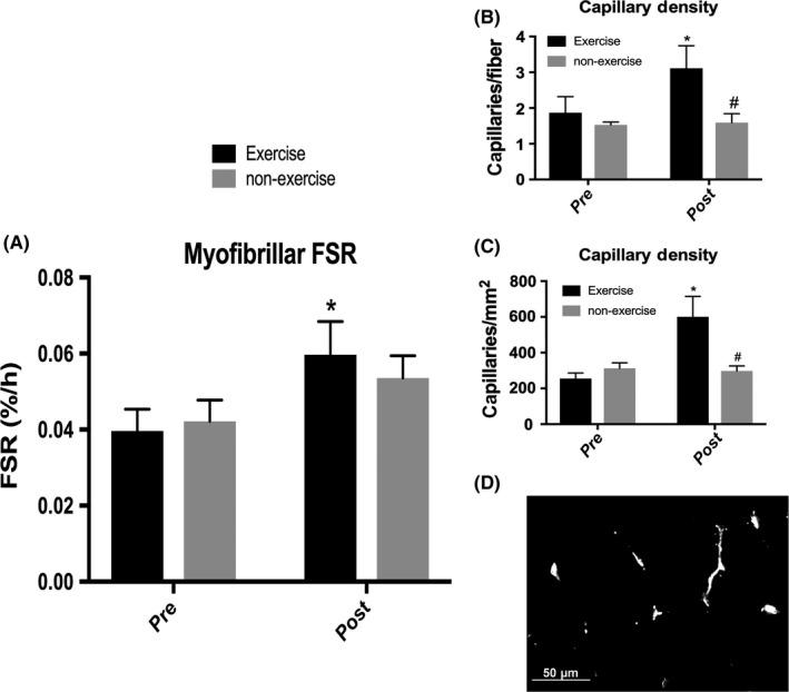 https://cdn.ncbi.nlm.nih.gov/pmc/blobs/3ce6/6518946/d71a23daf938/TSM2-2-109-g002.jpg