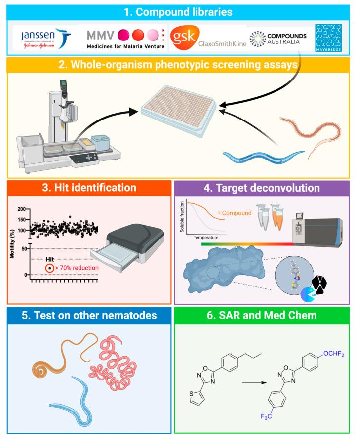 https://cdn.ncbi.nlm.nih.gov/pmc/blobs/3ce8/12028019/8427b1a81f59/ijms-26-03738-g001.jpg