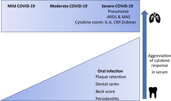https://cdn.ncbi.nlm.nih.gov/pmc/blobs/3ce9/10463896/6e63a5067131/40001_2023_1273_Fig2_HTML.jpg