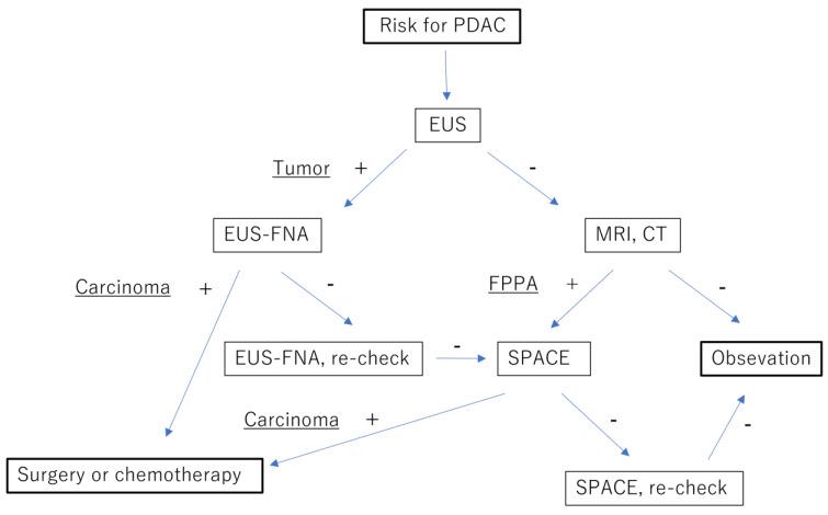 https://cdn.ncbi.nlm.nih.gov/pmc/blobs/3cea/10297586/0e641d99a5d8/diagnostics-13-02080-g005.jpg