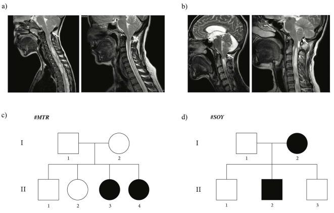 https://cdn.ncbi.nlm.nih.gov/pmc/blobs/3cea/7759189/a5d47e49cc22/turkjbio-44-449-fig001.jpg
