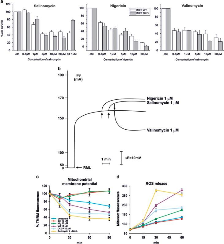 https://cdn.ncbi.nlm.nih.gov/pmc/blobs/3ced/4632293/b0572da9af38/cddis2015263f2.jpg