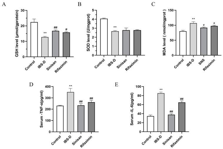 https://cdn.ncbi.nlm.nih.gov/pmc/blobs/3cee/11476996/4047a35a806e/ijms-25-10262-g005.jpg