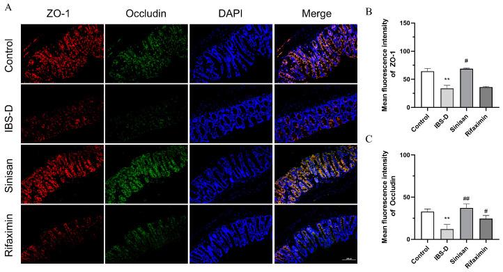 https://cdn.ncbi.nlm.nih.gov/pmc/blobs/3cee/11476996/70e356509fe1/ijms-25-10262-g007.jpg