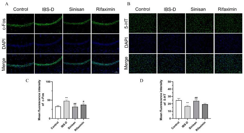 https://cdn.ncbi.nlm.nih.gov/pmc/blobs/3cee/11476996/bd9d418d4f91/ijms-25-10262-g006.jpg