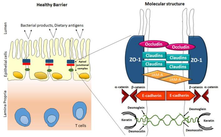 https://cdn.ncbi.nlm.nih.gov/pmc/blobs/3cee/8497706/62449edb3142/fphys-12-715611-g0001.jpg