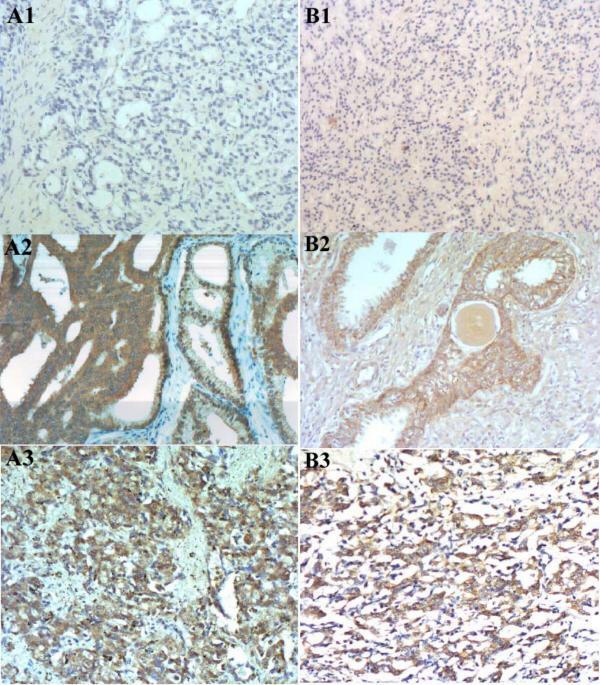 https://cdn.ncbi.nlm.nih.gov/pmc/blobs/3cef/420493/67d7976d025a/1477-7819-2-13-1.jpg