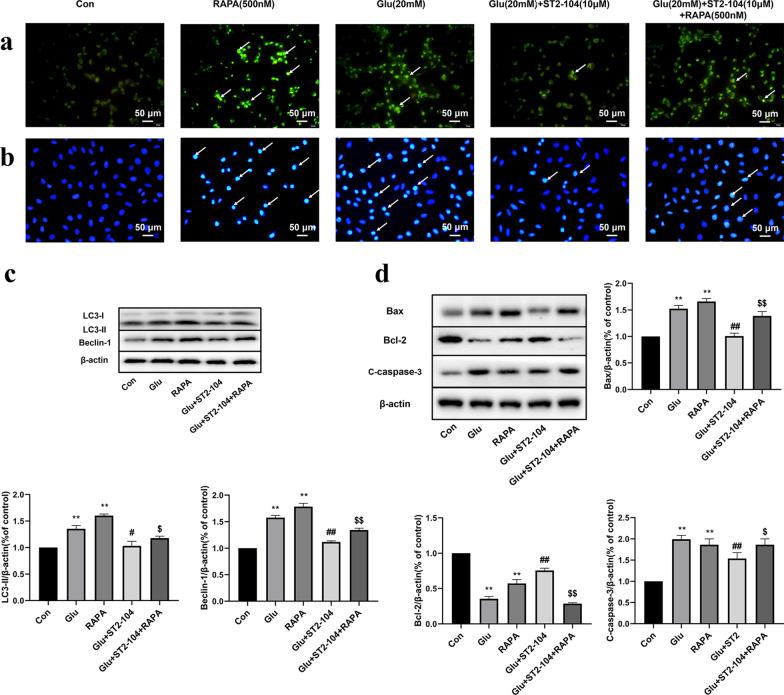 https://cdn.ncbi.nlm.nih.gov/pmc/blobs/3cf0/8344221/84200bef1ecb/13041_2021_836_Fig8_HTML.jpg