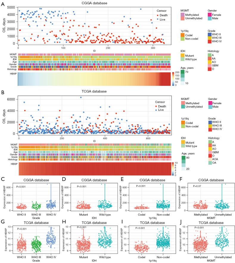 https://cdn.ncbi.nlm.nih.gov/pmc/blobs/3cf1/11651804/371f8564a776/tcr-13-11-6298-f3.jpg