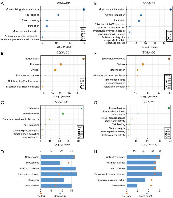 https://cdn.ncbi.nlm.nih.gov/pmc/blobs/3cf1/11651804/6a60dcee221d/tcr-13-11-6298-f5.jpg