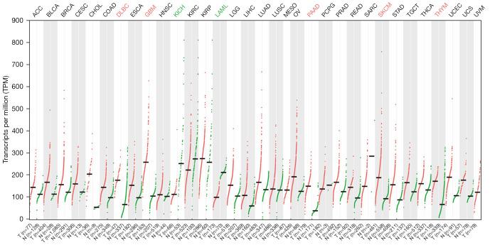 https://cdn.ncbi.nlm.nih.gov/pmc/blobs/3cf1/11651804/e4ec3eec02cf/tcr-13-11-6298-f1.jpg