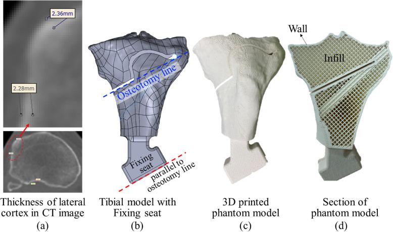 https://cdn.ncbi.nlm.nih.gov/pmc/blobs/3cf1/12175393/639321e2d456/13018_2025_5993_Fig3_HTML.jpg