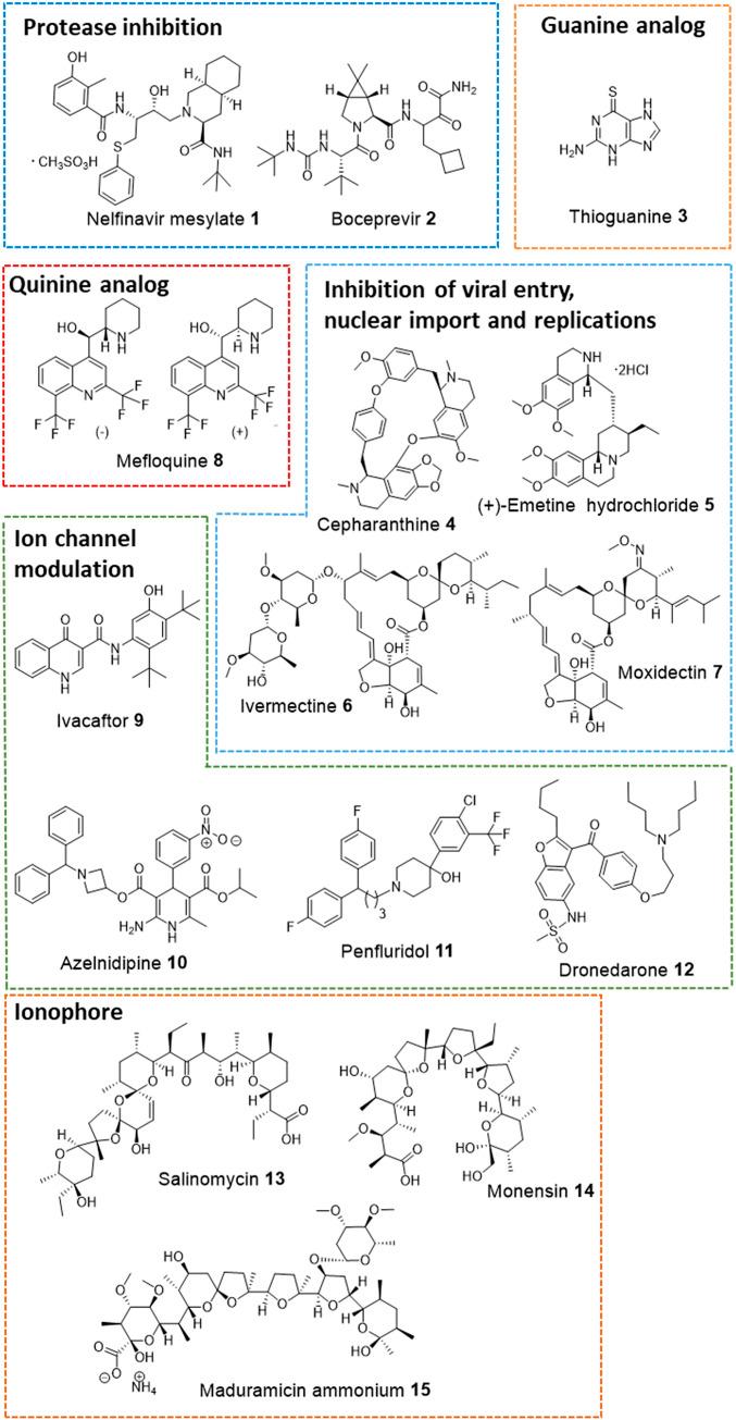 https://cdn.ncbi.nlm.nih.gov/pmc/blobs/3cf2/7865145/bbc57aaa8b16/pnas.2021579118fig01.jpg