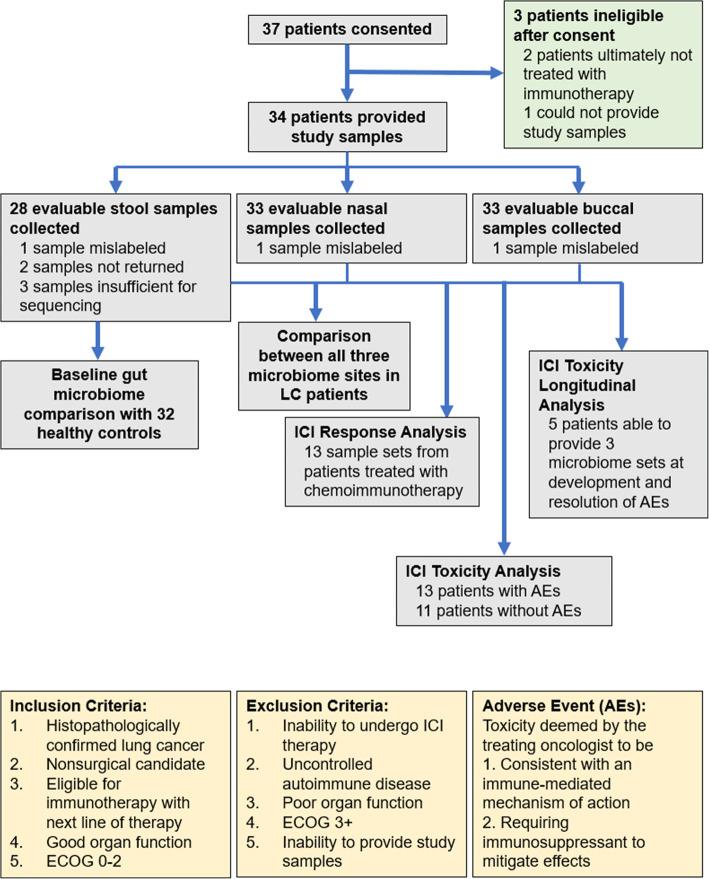 https://cdn.ncbi.nlm.nih.gov/pmc/blobs/3cf2/8278634/1f9709fe6cee/12885_2021_8530_Fig2_HTML.jpg
