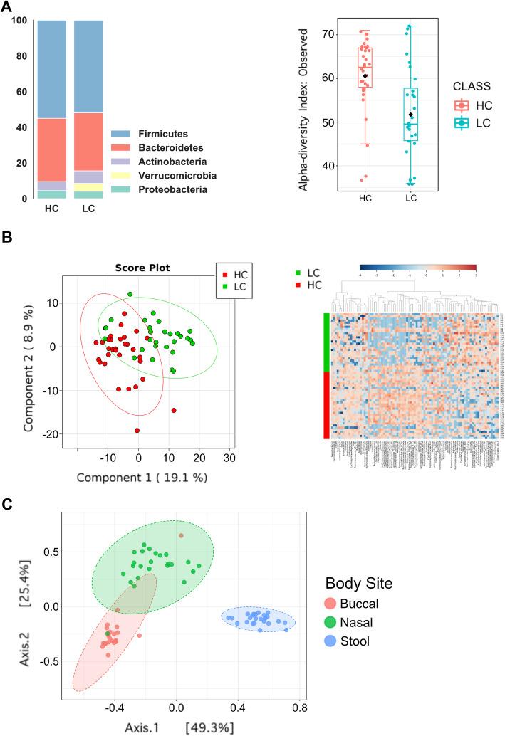 https://cdn.ncbi.nlm.nih.gov/pmc/blobs/3cf2/8278634/769aea8c2b29/12885_2021_8530_Fig3_HTML.jpg