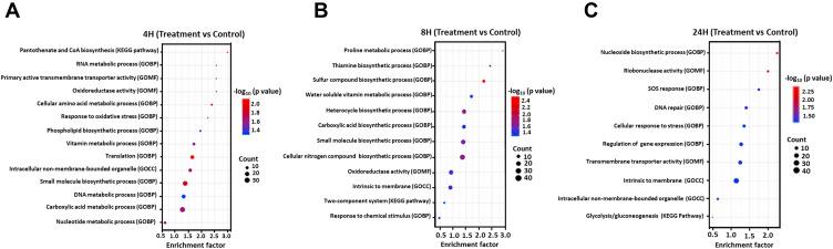 https://cdn.ncbi.nlm.nih.gov/pmc/blobs/3cf2/9805717/18c0e235403a/IJN-17-6707-g0006.jpg