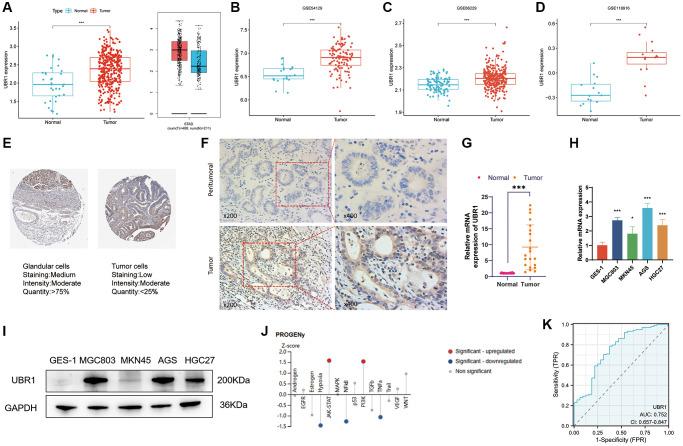https://cdn.ncbi.nlm.nih.gov/pmc/blobs/3cf3/11386912/26a14cec703e/aging-16-206079-g002.jpg