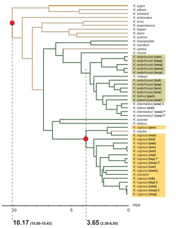 https://cdn.ncbi.nlm.nih.gov/pmc/blobs/3cf6/1796849/65820701cd90/1741-7007-5-3-2.jpg