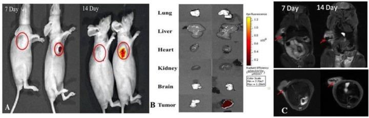 https://cdn.ncbi.nlm.nih.gov/pmc/blobs/3cf9/5371978/05d27a80320b/nn-2016-06040a_0038.jpg