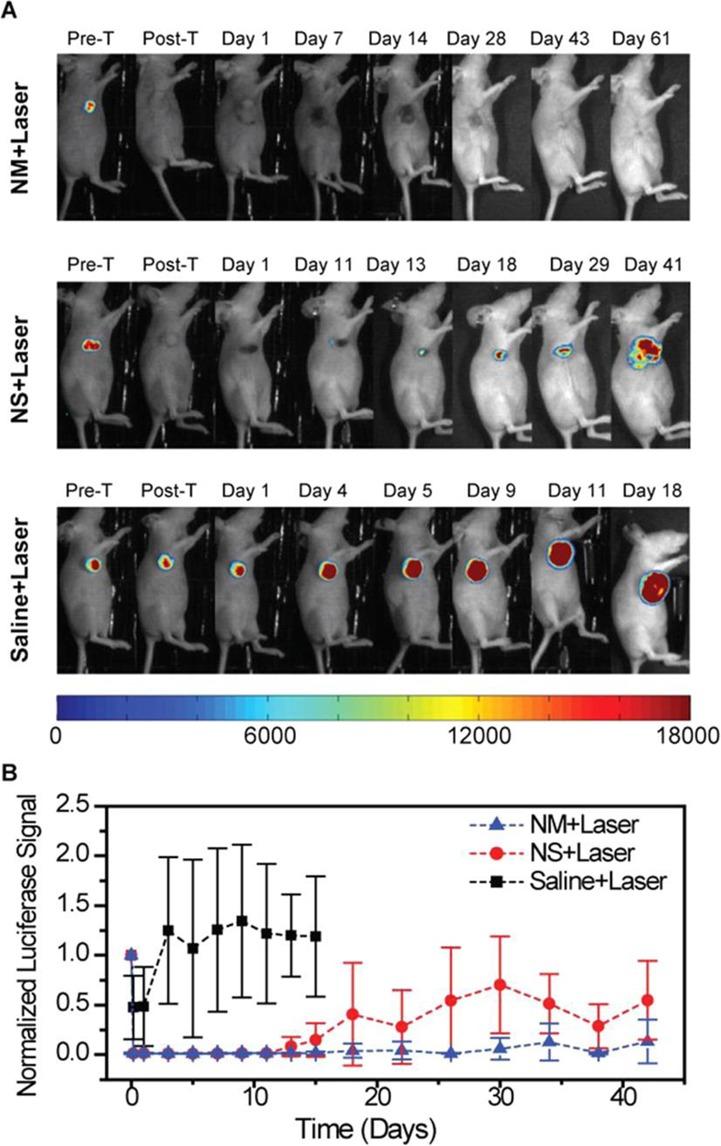https://cdn.ncbi.nlm.nih.gov/pmc/blobs/3cf9/5371978/20a0cb9154c9/nn-2016-06040a_0032.jpg