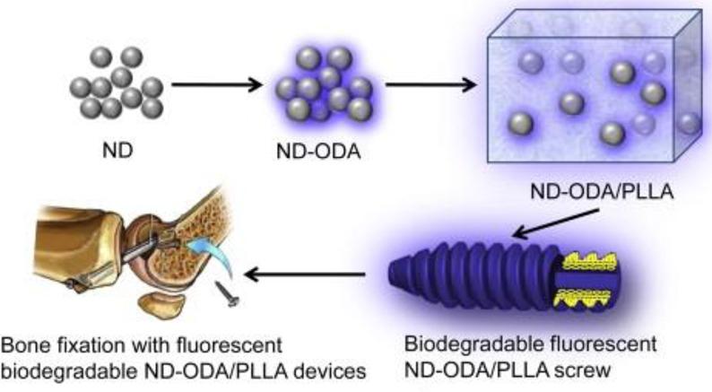 https://cdn.ncbi.nlm.nih.gov/pmc/blobs/3cf9/5371978/24398e34dacc/nn-2016-06040a_0033.jpg