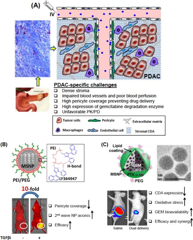 https://cdn.ncbi.nlm.nih.gov/pmc/blobs/3cf9/5371978/a7e6bd5fd6af/nn-2016-06040a_0021.jpg