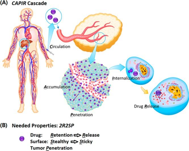 https://cdn.ncbi.nlm.nih.gov/pmc/blobs/3cf9/5371978/ade3fd9e546d/nn-2016-06040a_0018.jpg