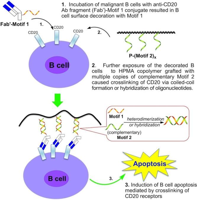https://cdn.ncbi.nlm.nih.gov/pmc/blobs/3cf9/5371978/c0ff5af80881/nn-2016-06040a_0029.jpg