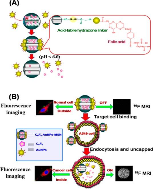 https://cdn.ncbi.nlm.nih.gov/pmc/blobs/3cf9/5371978/cb42c1e217c8/nn-2016-06040a_0004.jpg