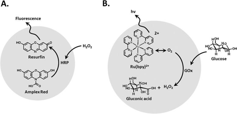 https://cdn.ncbi.nlm.nih.gov/pmc/blobs/3cf9/5371978/d6ebec2058fa/nn-2016-06040a_0016.jpg