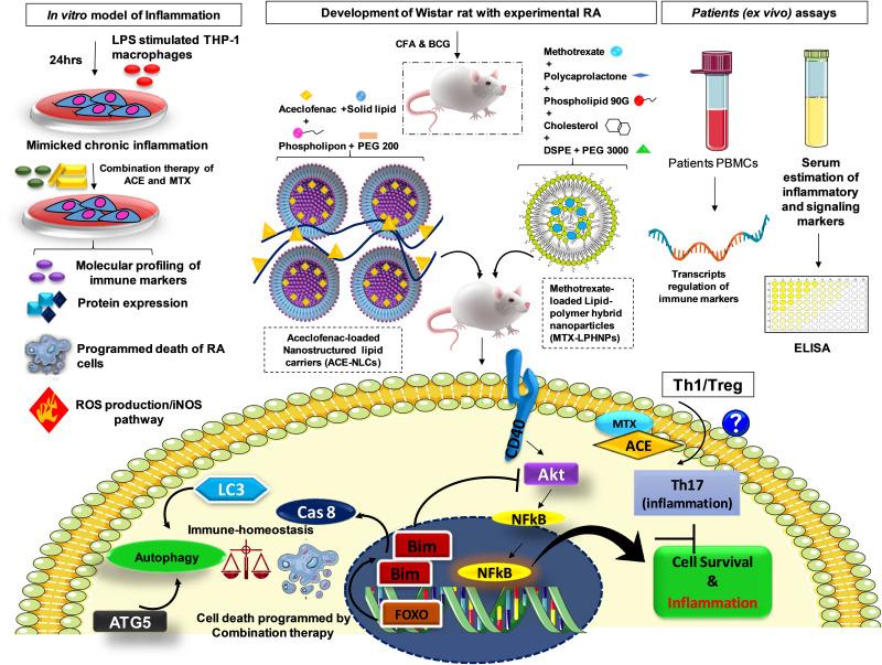 https://cdn.ncbi.nlm.nih.gov/pmc/blobs/3cfb/10933537/02f01a1669e4/IJN-19-2149-g0010.jpg