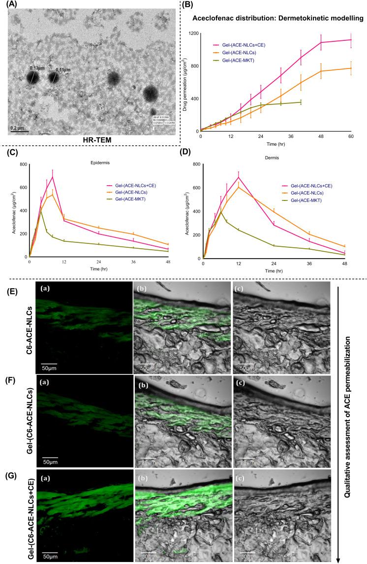 https://cdn.ncbi.nlm.nih.gov/pmc/blobs/3cfb/10933537/1a6532c8f693/IJN-19-2149-g0002.jpg