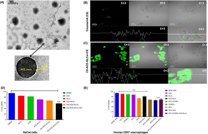 https://cdn.ncbi.nlm.nih.gov/pmc/blobs/3cfb/10933537/c55d7a5159b8/IJN-19-2149-g0001.jpg