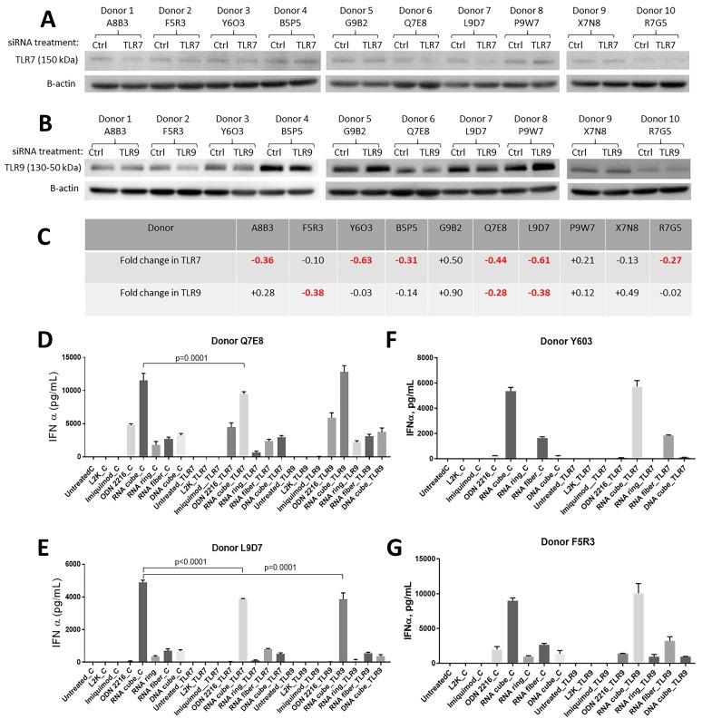 https://cdn.ncbi.nlm.nih.gov/pmc/blobs/3cfb/6470694/0e1a8843d69c/molecules-24-01094-g003.jpg